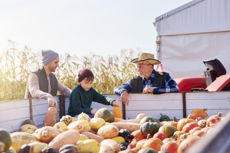 https://stdidwashtrustprod.blob.core.windows.net/washtrust/images/WashTrustWealth-News/family-choosing-pumpkins-at-an-autumn-harvest-2026-01-09-10-40-34-utc.jpg
